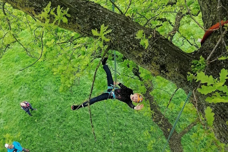 Tree Climbing at Capesthorne Hall